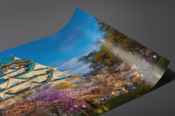 Fine Art Print | Castle of Osaka, Japan