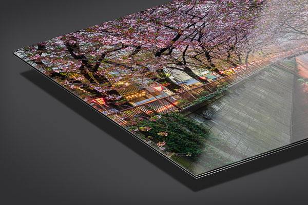 Acrylic Glass | Cherry blossom trees in Tokyo