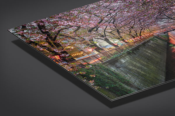 Metal Print | Cherry blossom trees in Tokyo