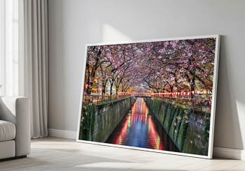 Wall Art | Cherry blossom trees in Tokyo