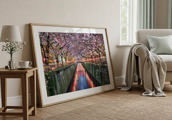 Wall Art | Cherry blossom trees in Tokyo