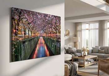 Wall Art | Cherry blossom trees in Tokyo