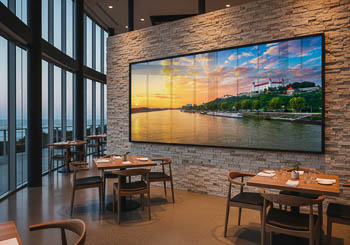 Wall Art | Danube and castle of Bratislava