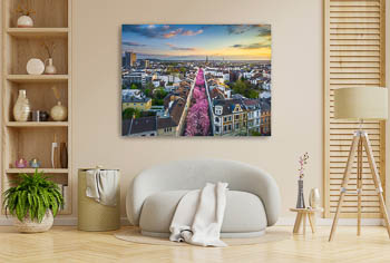 Wandbild | Kirschblüte in Bonn