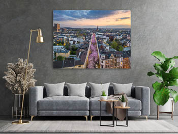 Wall Art | Cherry blossoms in Bonn
