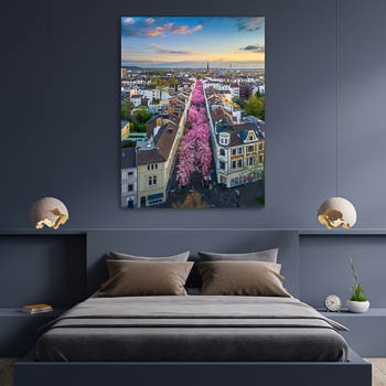 Wall Art | Cherry blossoms in Bonn