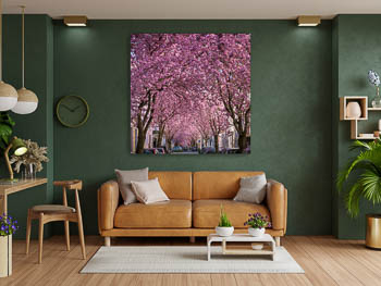 Wall Art | Cherry blossoms in Bonn