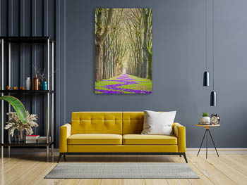 Wall Art | Spring flowers in Bremen