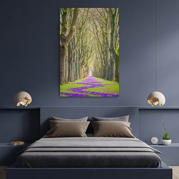 Wall Art | Spring flowers in Bremen