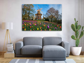 Wall Art | Tulips at the windmill in Bremen