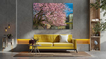Wall Art | Cherry blossoms in Hamburg