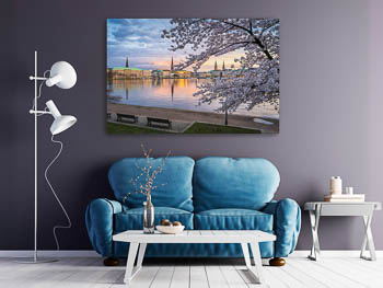 Wall Art | Cherry blossoms in Hamburg