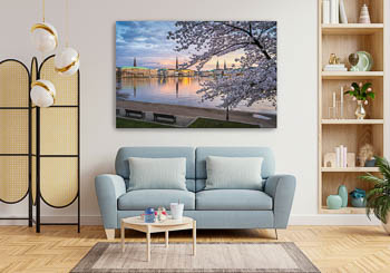 Wall Art | Cherry blossoms in Hamburg