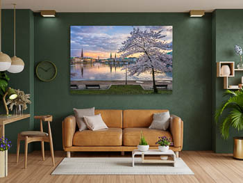 Wall Art | Cherry blossoms in Hamburg