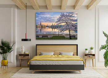 Wall Art | Cherry blossoms in Hamburg