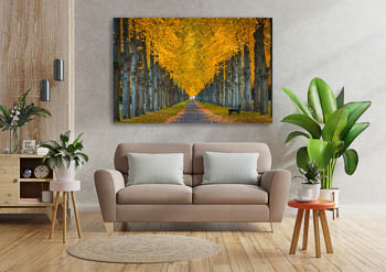 Wall Art | Herrenhausen Gardens in Hannover during autumn