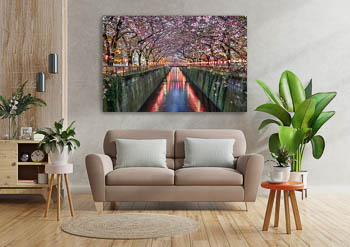 Wall Art | Cherry blossom trees in Tokyo