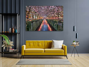 Wall Art | Cherry blossom trees in Tokyo