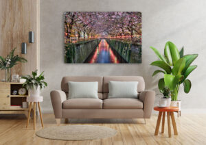 Wall Art | Cherry blossom trees in Tokyo