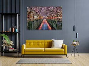Wall Art | Cherry blossom trees in Tokyo